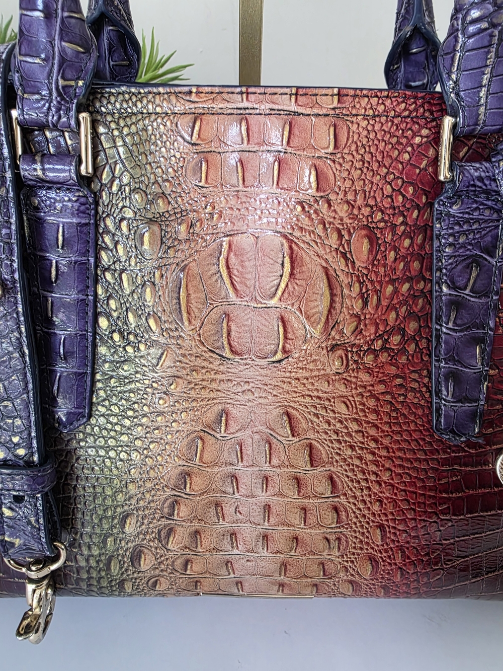 Brahmin Mini Asher Mojave Vineyard Embossed Leather Tote Crossbody - Picture 14 of 16
